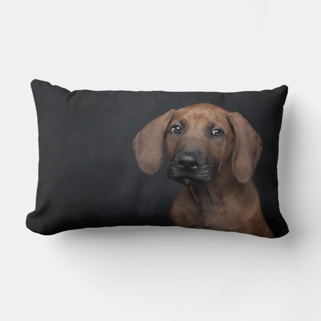Coussin Rectangle Portrait de chiot Rhodesian Ridgeback Adorable Chi (Recto)