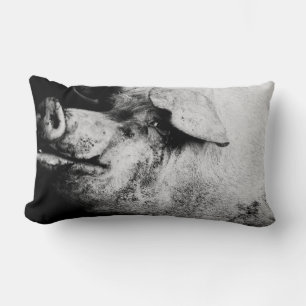 Coussin Rectangle portrait de cochon