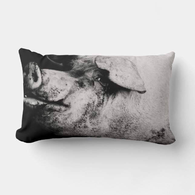 Coussin Rectangle portrait de cochon (Recto)