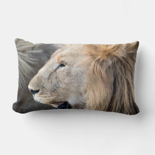 Coussin Rectangle Portrait de Lion