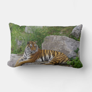 Coussin Rectangle Portrait photo d'un tigre de Sibérie