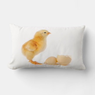 Coussin Rectangle Poussin