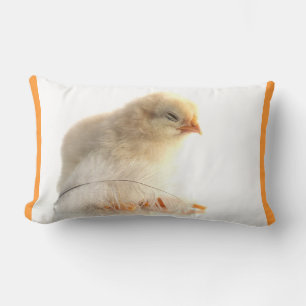Coussin Rectangle poussins avec plume