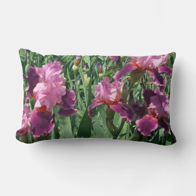 Coussin Rectangle Purple Irises Printemps Floral (Recto)