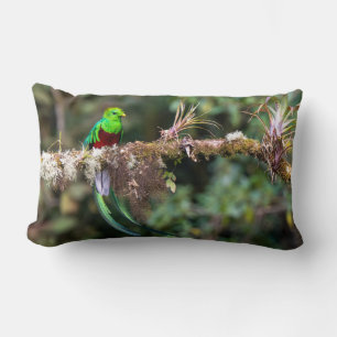 Coussin Rectangle Quetzal resplendissant dans la forêt nuageuse