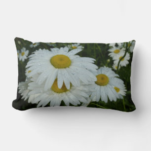 Coussin Rectangle Raindrops sur Daisies Floral Fleur sauvage