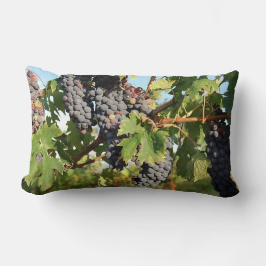 Coussin Rectangle Raisins de vigne sur vigne (Recto)
