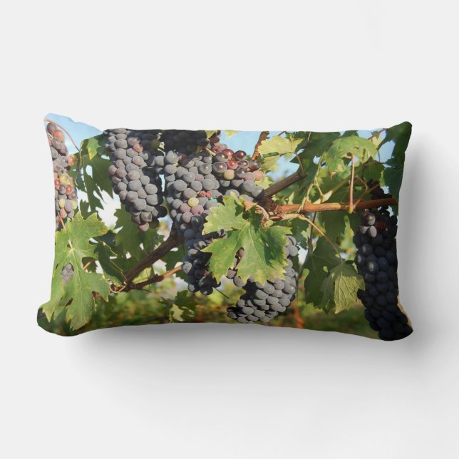 Coussin Rectangle Raisins De Vin Sur Vin (Recto)