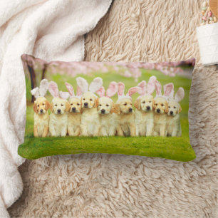 Coussin Rectangle Rangée de lapins chiots