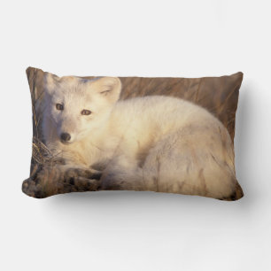 Coussin Rectangle renard arctique, Alopex lagopus