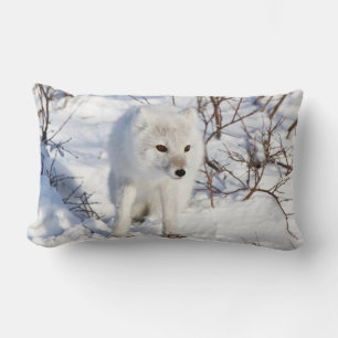 Coussin Rectangle Renard Arctique , Zone de gestion de la faune de C