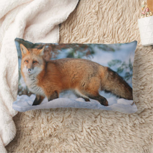 Coussin Rectangle Renard roux   Neige en hiver, Montana