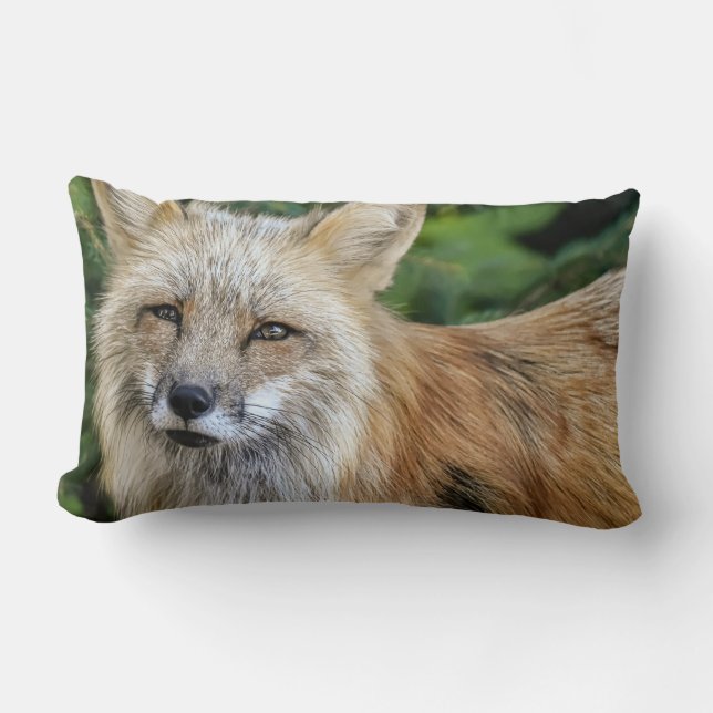Coussin Rectangle Renard sauvage (Recto)