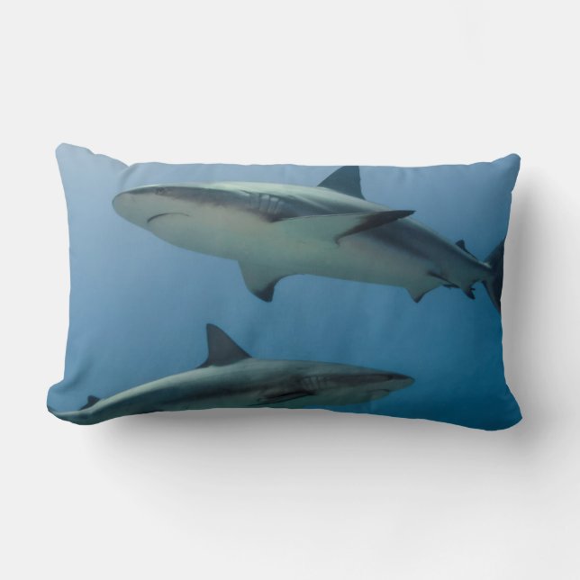 Coussin Rectangle Requin des récifs des Caraïbes (Recto)