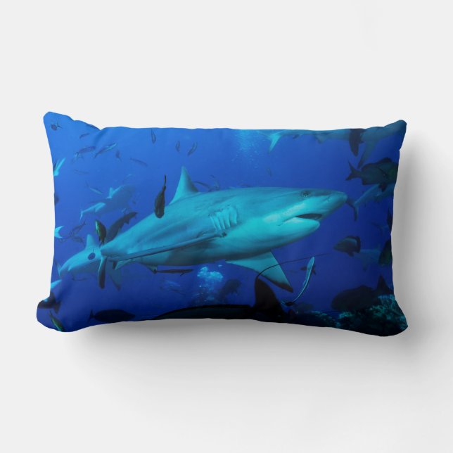 Coussin Rectangle Requin gris de récif sur la Grande barrière de (Recto)