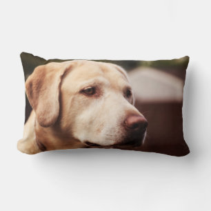 Coussin Rectangle Retriever du Labrador