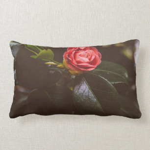 Coussin Rectangle Rétro photographie de rose de rose, romantique,