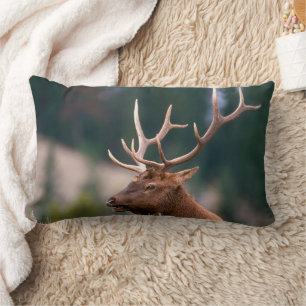 Coussin Rectangle Rocky Mountain Elk Parc national de Yellowstone