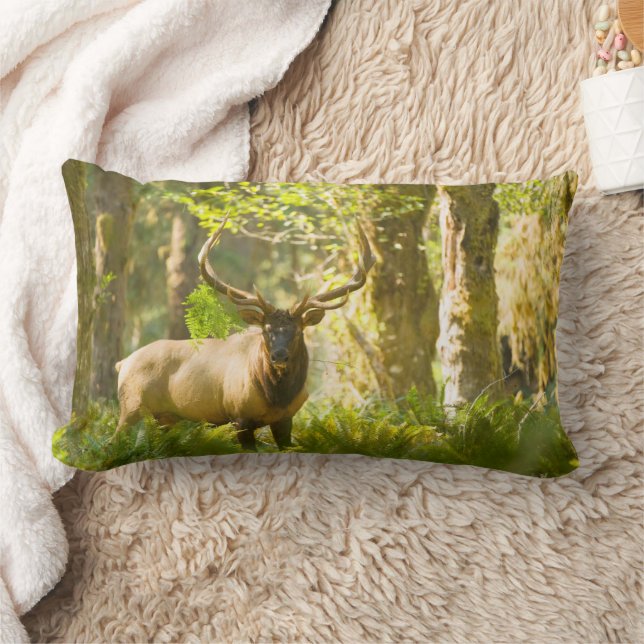 Coussin Rectangle Roosevelt Elk | Parc National Olympique, Washingto (Couverture)