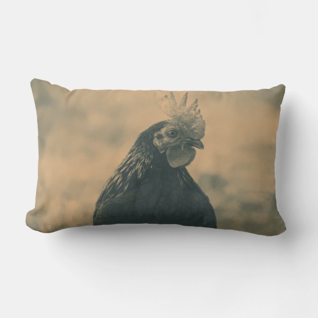 Coussin Rectangle Rooster Portrait (Recto)