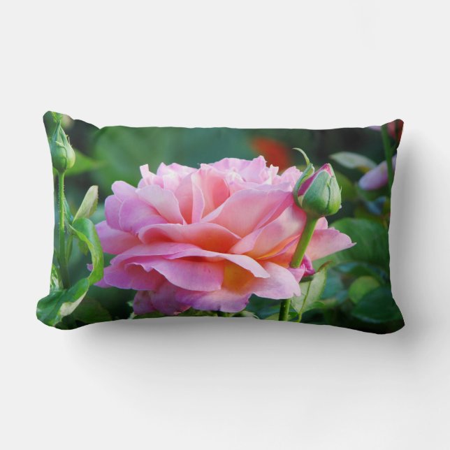 Coussin Rectangle Rose de thé anglais de jardin (Recto)