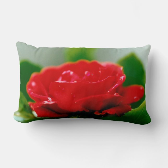Coussin Rectangle Rose rouge du matin recouverte de gouttes de rosée (Recto)