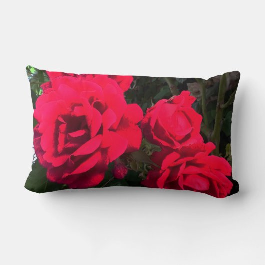Coussin Rectangle Roses Rouges Fleurissant  (Verso)