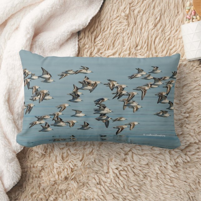 Coussin Rectangle Sanderlings prend l'avion dans le ciel d'hiver (Couverture)