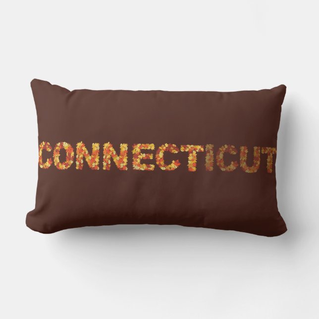 Coussin Rectangle Se connecter dans Connecticut Feuilles d'automne J (Recto)