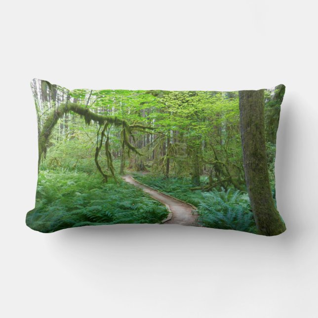 Coussin Rectangle Sentier des Forêts anciennes du parc national Olym (Recto)