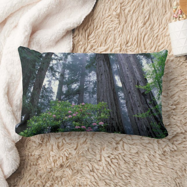 Coussin Rectangle Séquoias côtiers et rhododendrons (Couverture)