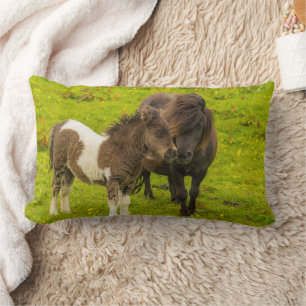 Coussin Rectangle Shetland Pony mère et progéniture