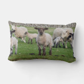 Coussin Rectangle Shetland Sheep (Verso)