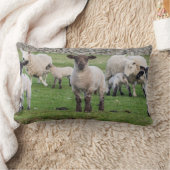 Coussin Rectangle Shetland Sheep (Couverture)