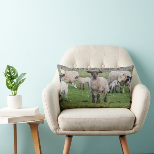 Coussin Rectangle Shetland Sheep (Chaise)