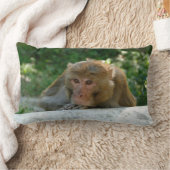 Coussin Rectangle Singe - Grand-père (Couverture)