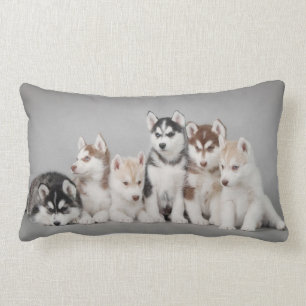 Coussin Rectangle Six chiens de traîneau
