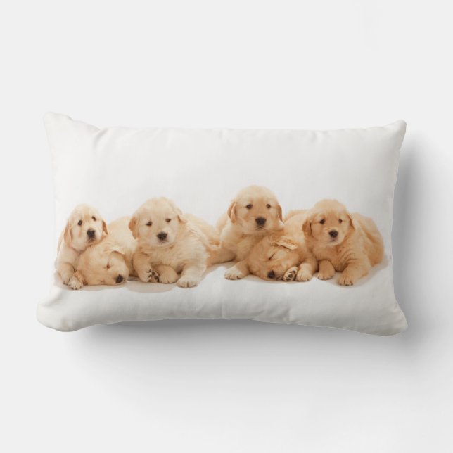 Coussin Rectangle Six Marionnettes Golden Retriever (Recto)