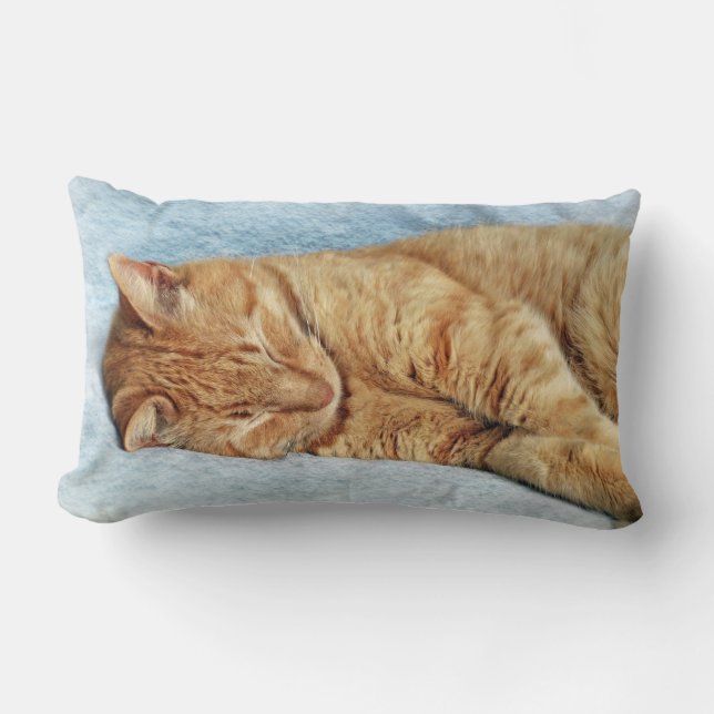 Coussin Rectangle Sleepy Kitty (Recto)