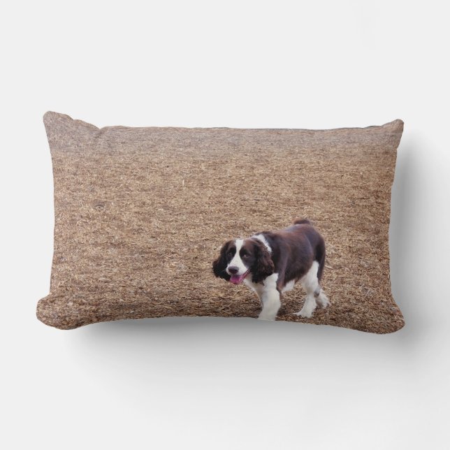Coussin Rectangle Springer spaniel espiègle (Recto)