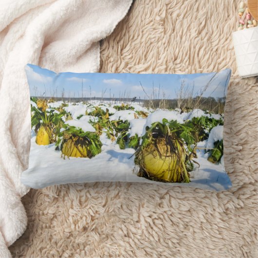 Coussin Rectangle Squash d'hiver en neige - Personnalisé (Couverture)