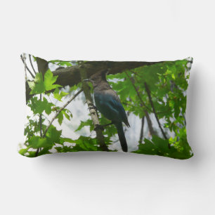 Coussin Rectangle Steller's Jay dans le parc national de Yosemite