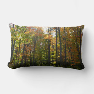 Coussin Rectangle Sunlit Fall Forest Paysage d'automne