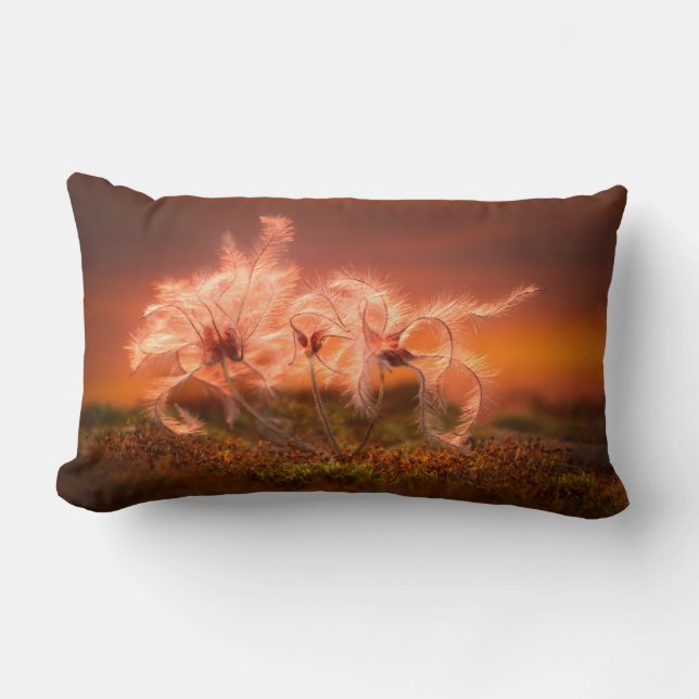 Coussin Rectangle Sunset Macro Nature Scene of Moss and Plant (Recto)