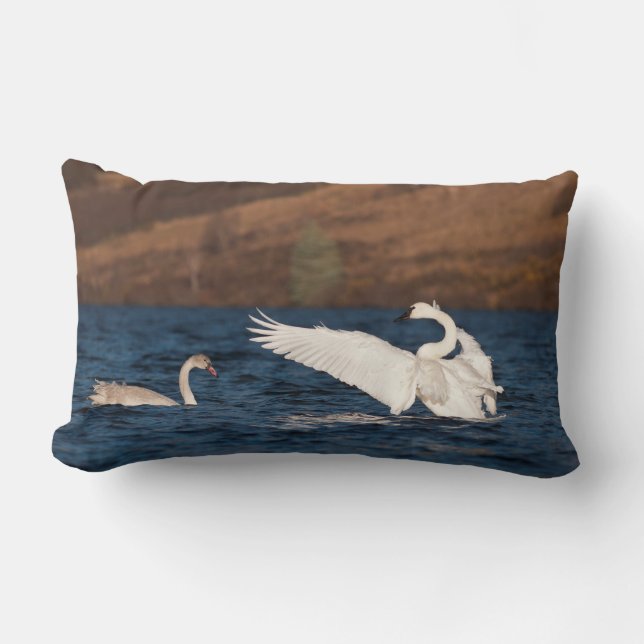 Coussin Rectangle Swan (Recto)