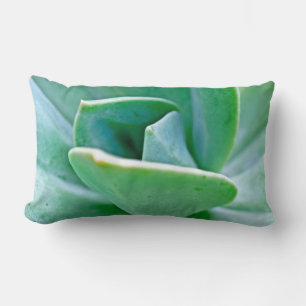 Coussin Rectangle Swirl Succulent