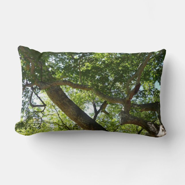 Coussin Rectangle Sycamore Tree Nature verte (Recto)