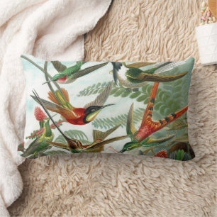 Coussin Rectangle tableau classique de la faune des oiseaux colibris