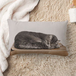 Coussin Rectangle Tablette Gris Chat Dormir Sur Boîte
