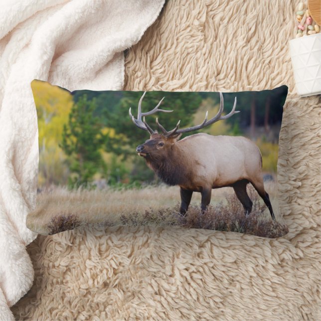 Coussin Rectangle Taureau et arbres d'aspens | Parc national de Rock (Couverture)